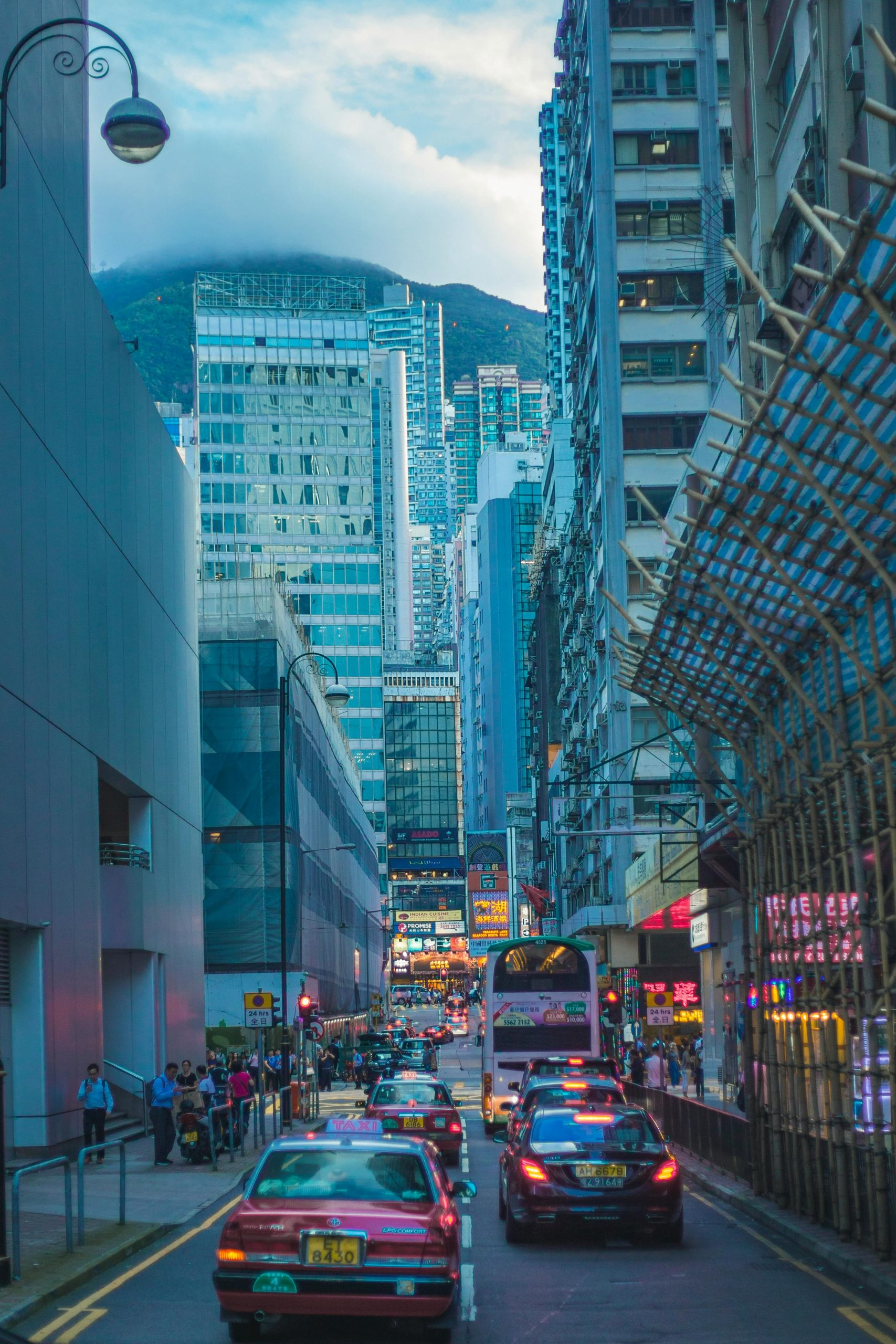 pexels-jimbear-2568835